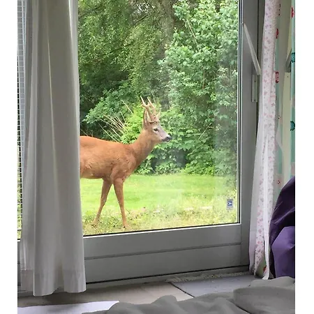 11854-nykobing-sj-bakkelodden-11 Casa vacanze